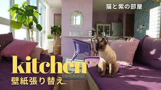 [DIY]キッチンの壁紙張り替え/カッティングシート/保護猫と暮らす/カラフルインテリア