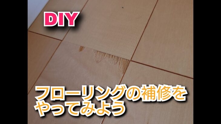 【DIY】　フローリングの補修をやってみた！！