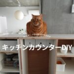 キッチンカウンターDIY、もう手放せない冬の必需品、最後におまけの動画あります【暮らしのvlog】