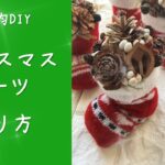 【100均DIY】松ぼっくりで作るクリスマスブーツ【松ぼっくりツリー】