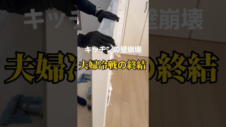 【15】モラハラ旦那ですよね？ #キッチンdiy #diy #暮らしの工夫 #ミニマリスト