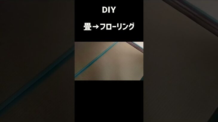 素人がやるとこうなる#shorts#DIY#フローリング