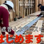 #57【内装リフォームDIY】年始は床張りから❗️ネダレスフローリングは難しいのか？『猫と海暮らし』