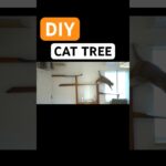 Ultimate DIY CAT tree. #cat #DIY#cattree