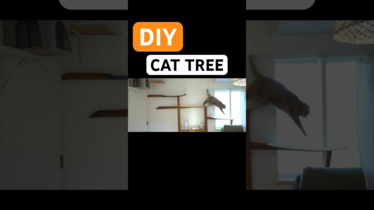 Ultimate DIY CAT tree. #cat #DIY#cattree