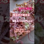 #ひなまつり#ひな祭り #雛祭り #seria #daiso #flowers #flowerdesign #フラワーアレンジメント #100均 #100均diy #100均造花 #ダイソー