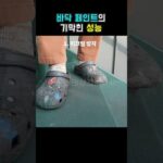 바닥 페인트의 기막힌 성능 #shorts #페인트 #diy #페인팅