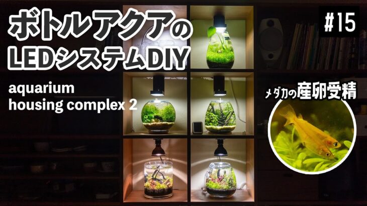 【アクアリウム 15】リビングの棚を増築して、ボトル用 LEDのDIY & メダカの産卵受精シーン