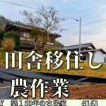 【脱サラ古民家DIY】畑に電柵と防草シートを設置！わらびが雑草の様に生えてます　No.161