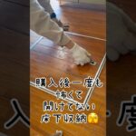 築37年中古住宅フローリング解体！床下収納の中には…⁉︎#初心者diy #フローリング張り替え #素人diy#フローリング#100均 diy#shorts