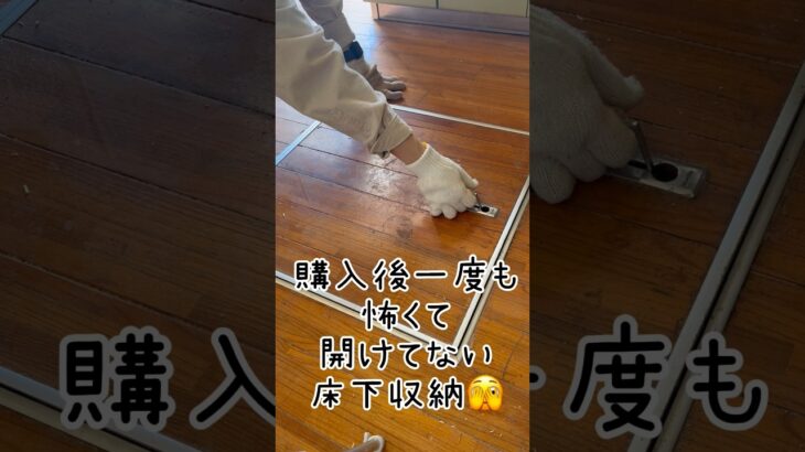 築37年中古住宅フローリング解体！床下収納の中には…⁉︎#初心者diy #フローリング張り替え #素人diy#フローリング#100均 diy#shorts