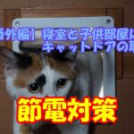 【番外編】寝室と子供部屋の扉にキャットドア(猫扉)を設置【DIY】