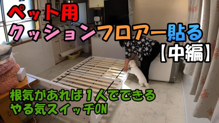 【DIY】ペット用クッションフロアーを貼る(中編)「重い家具を1人で移動」「パソコンの移動が一番大変」「犬が手伝いはじめる」「根気勝負」「やる気スイッチON」