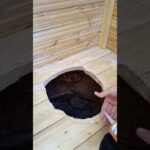 Установка керамического унитаза в дачный деревянный туалет #дача #diy #стройка #туалет #wood #ремонт