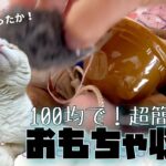 猫のおもちゃ収納をＤＩＹしました。