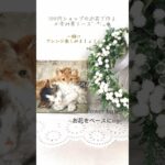 【100均DIY】可憐なかすみ草リース❁⃘*.ﾟオシャレに飾るナチュラルリースﾟ･*:.｡❁DAISOの素敵なかすみ草をアレンジ♬.*ﾟ簡単にアレンジしていただけます*°DAISO/Seria