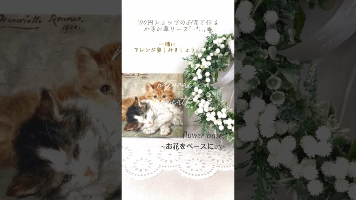 【100均DIY】可憐なかすみ草リース❁⃘*.ﾟオシャレに飾るナチュラルリースﾟ･*:.｡❁DAISOの素敵なかすみ草をアレンジ♬.*ﾟ簡単にアレンジしていただけます*°DAISO/Seria