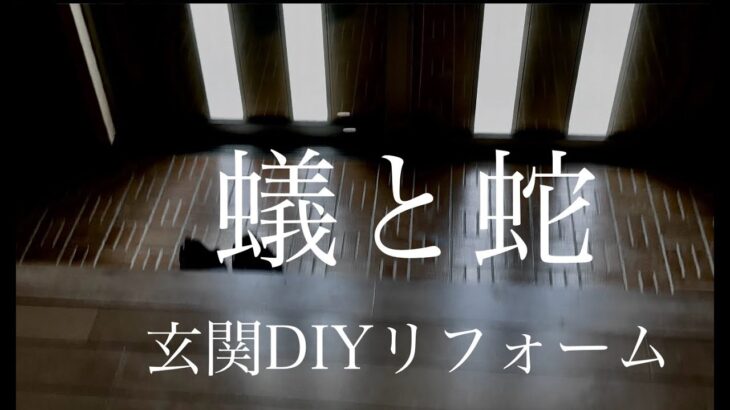 玄関DIYリフォーム【蟻と蛇】害虫の侵入防止と断熱