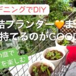 【夏の庭づくり】DIYで連結プランターづくり/小さな庭でおしゃれなハーブの増やし方/ハーブのさし芽の仕方/ハーブの効用#ガーデニング#おしゃれなハーブ#100均DIY