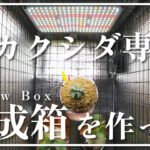 【植物DIY】ビカクシダのための育成環境を増築。100均アイテムで作れる植物育成箱『Grow Box』を紹介。