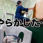 ちょっと失敗しちゃったキッチンの壁紙貼り［アラサー女の中古物件DIY］