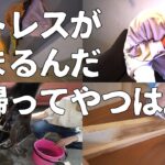 【ストレス解消DIY】何かこの家ストレスがすごいんだよね。。