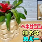 【DIY】【ヘキサゴン】【鉢カバー】【六角形】ホームセンターで1位2位を争う格安な木でこんなオシャレな鉢カバーになる！！低コストで高見えです！！お店やお部屋にあるとオシャレ感UP！！#diy #植木鉢