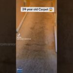 This carpet is the reason you should not #DIY with a rental machine 😱.