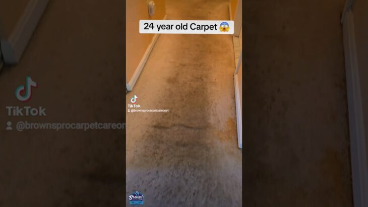 This carpet is the reason you should not #DIY with a rental machine 😱.