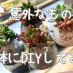 【多肉植物】１００均のイス脚カバーをDIY☺️可愛いミニ鉢を作ってみた🙌