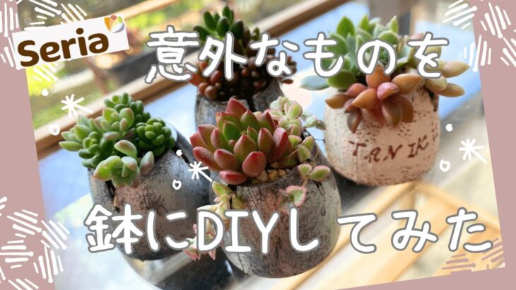 【多肉植物】１００均のイス脚カバーをDIY☺️可愛いミニ鉢を作ってみた🙌