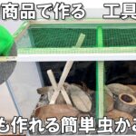 【夏休みDIY】100均の商品で、誰でも簡単に虫かごを作る方法。大きな虫かごを欲しがっている昆虫好きのお子様に。特別な工具が無くても作れます。