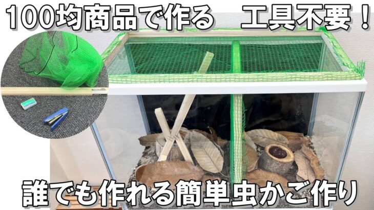 【夏休みDIY】100均の商品で、誰でも簡単に虫かごを作る方法。大きな虫かごを欲しがっている昆虫好きのお子様に。特別な工具が無くても作れます。