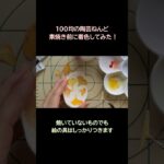 100均の陶芸ねんどで不織布染めをする！ #diy  #ハンドメイド #オーブン粘土