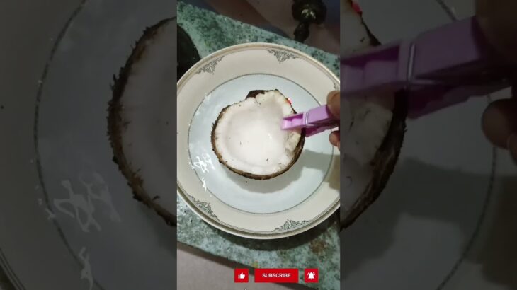 Best of coconut kitchen Hack #shorts #fyp #diy #lifehacks #experiment #physics