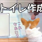 【DIY】愛犬のトイレ作ってみました！