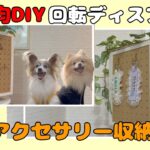 【100均DIY】愛犬のアイテムに回転ディスプレイ収納を作ってみた#DAISO#セリア#diy #愛犬