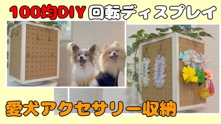 【100均DIY】愛犬のアイテムに回転ディスプレイ収納を作ってみた#DAISO#セリア#diy #愛犬