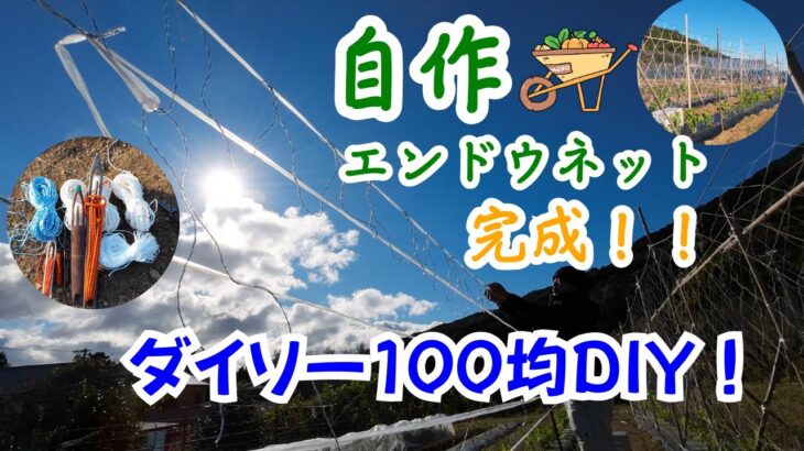 家庭菜園の必須アイテム！100均ロープで自作エンドウネットを作る方法