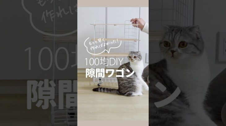 もっと早く作ればよかった！100均DIYスキマワゴン  #100均 #収納 #収納アイデア  #100均一diy