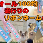 【100均DIY】簡単‼️レジンで作る愛犬のネームタグ🐶流行りのリボンネームタグを作ってみた#ダイソー #セリア #キャンドゥー #diy