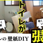 DIY#15トイレの壁紙を貼り替える　丘の上の白いお家　築古戸建てDIYリフォーム