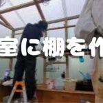 温室に棚を作る　diy 多肉植物　収納用　Garden　ガーデン