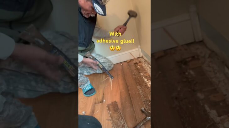 Replacing hardwood floors #shorts #ytshorts #flooring #replacement #woodfloors #diy