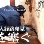 古民家のボロボロになった壁をDIYで直していく【キッチン編】