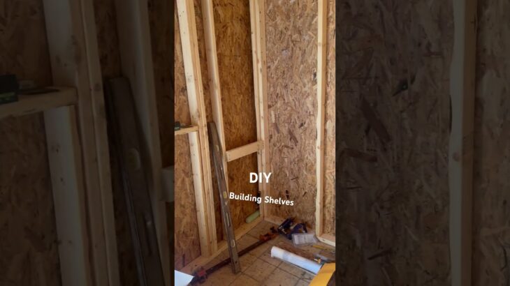 Building Shelves #learnfromjim #diy #tinyhouse #tools #workshop #construction #builder #work #wood